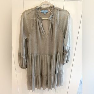 Metallic CeCe dress